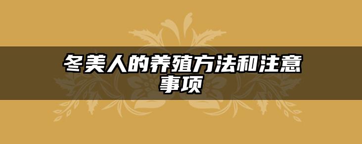 冬美人的养殖方法和注意事项
