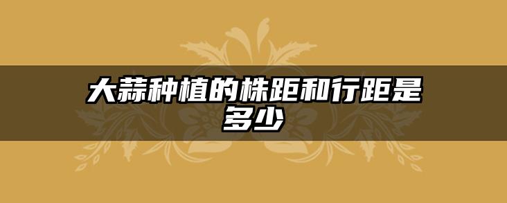 大蒜种植的株距和行距是多少