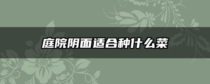 庭院阴面适合种什么菜