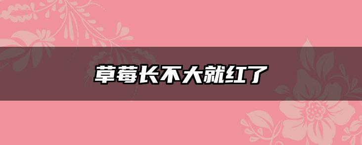 草莓长不大就红了