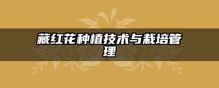 藏红花种植技术与栽培管理