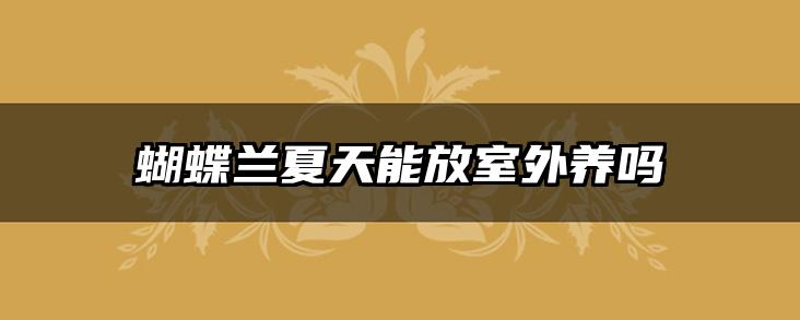 蝴蝶兰夏天能放室外养吗