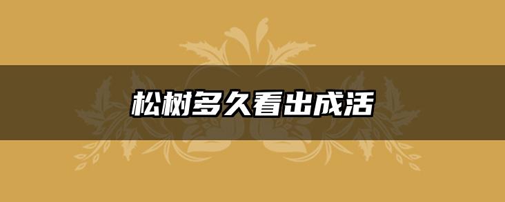 松树多久看出成活