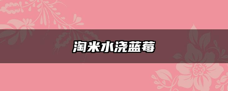 淘米水浇蓝莓