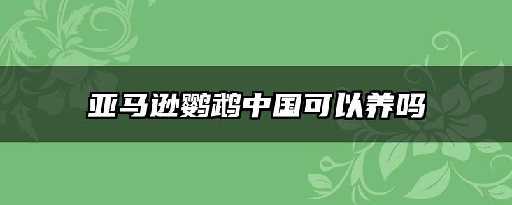 亚马逊鹦鹉中国可以养吗