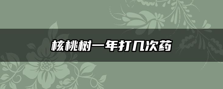 核桃树一年打几次药