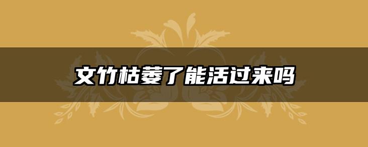 文竹枯萎了能活过来吗