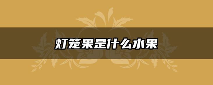 灯笼果是什么水果