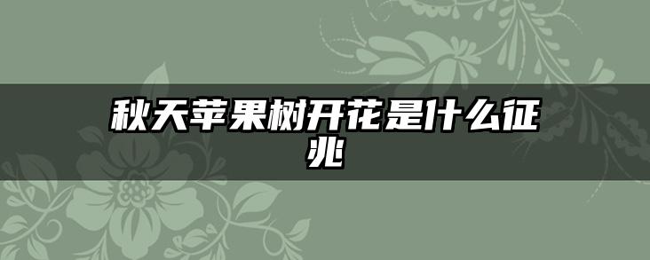 秋天苹果树开花是什么征兆