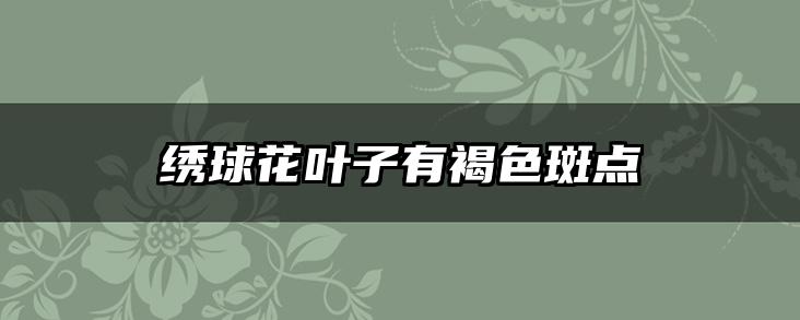 绣球花叶子有褐色斑点