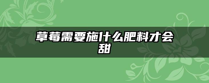 草莓需要施什么肥料才会甜