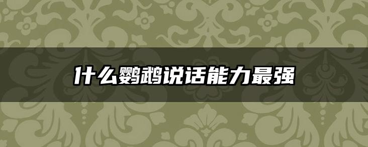 什么鹦鹉说话能力最强