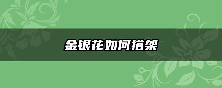 金银花如何搭架