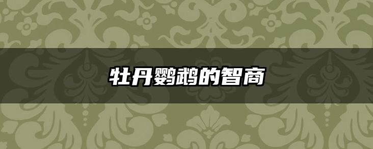 牡丹鹦鹉的智商