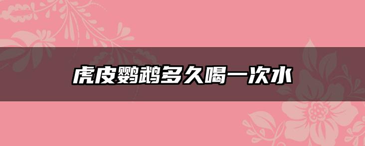 虎皮鹦鹉多久喝一次水