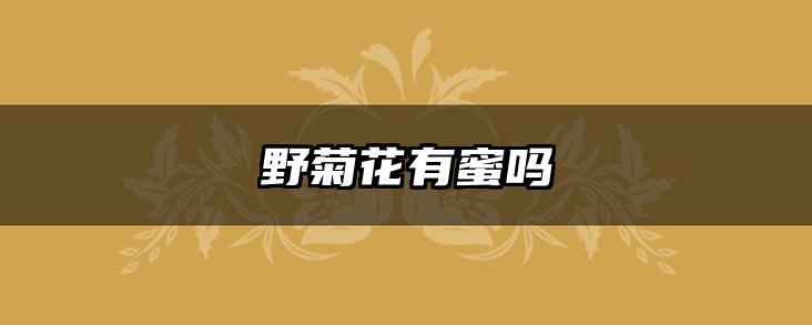野菊花有蜜吗