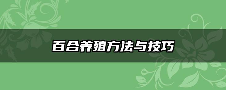 百合养殖方法与技巧