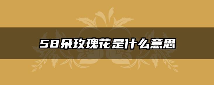 58朵玫瑰花是什么意思