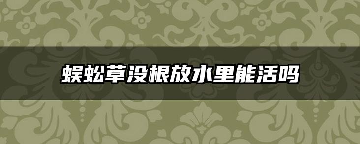 蜈蚣草没根放水里能活吗