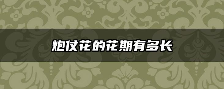 炮仗花的花期有多长