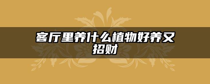客厅里养什么植物好养又招财