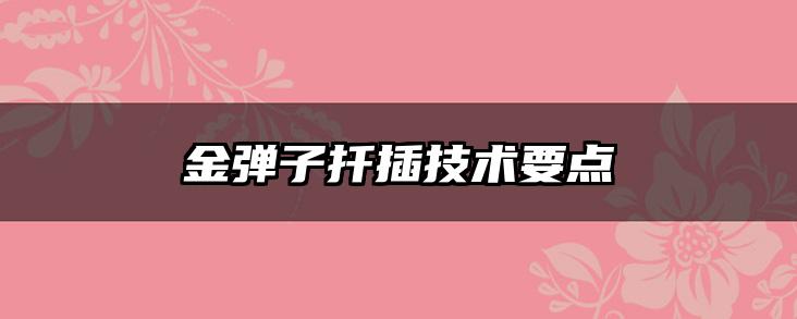 金弹子扦插技术要点