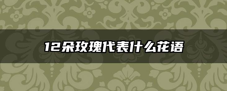 12朵玫瑰代表什么花语