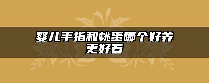 婴儿手指和桃蛋哪个好养更好看