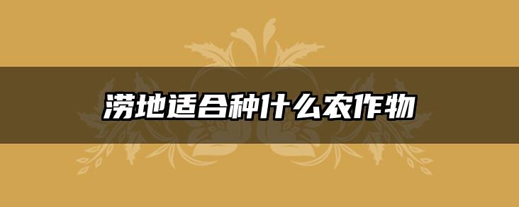 涝地适合种什么农作物