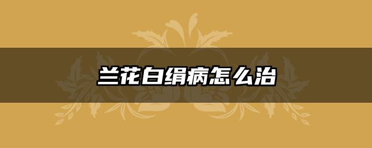 兰花白绢病怎么治