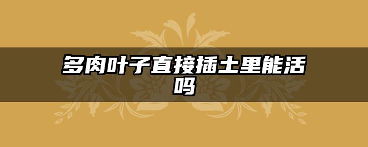 多肉叶子直接插土里能活吗
