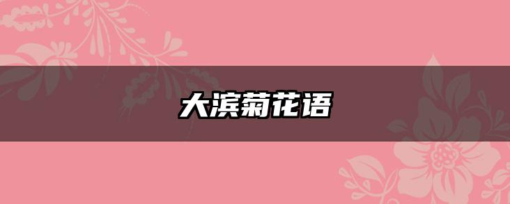 大滨菊花语