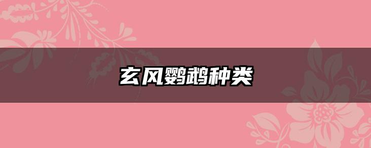 玄风鹦鹉种类