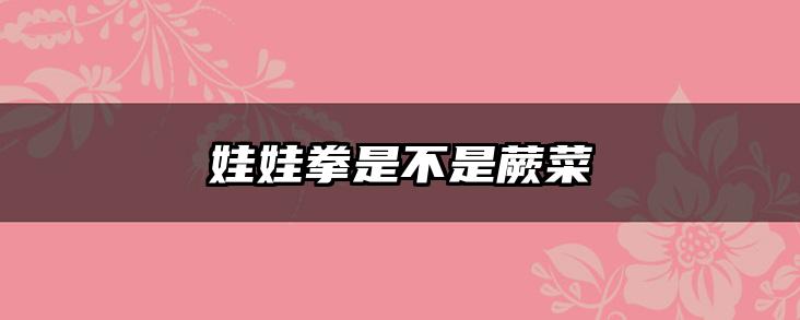 娃娃拳是不是蕨菜