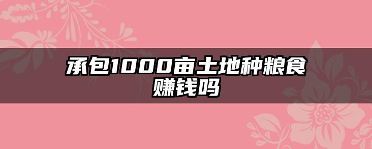 承包1000亩土地种粮食赚钱吗