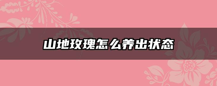 山地玫瑰怎么养出状态