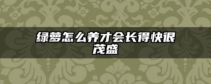 绿萝怎么养才会长得快很茂盛