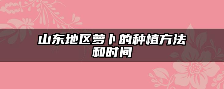 山东地区萝卜的种植方法和时间