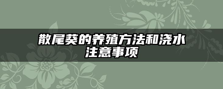 散尾葵的养殖方法和浇水注意事项