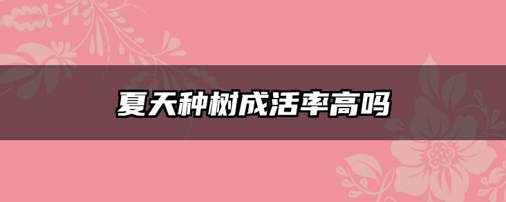 夏天种树成活率高吗