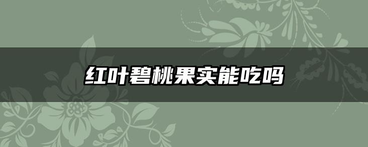 红叶碧桃果实能吃吗