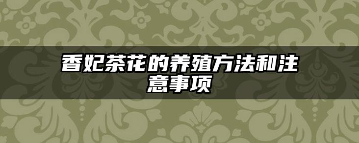 香妃茶花的养殖方法和注意事项