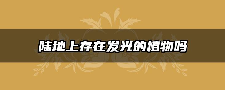 陆地上存在发光的植物吗