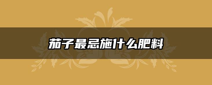 茄子最忌施什么肥料