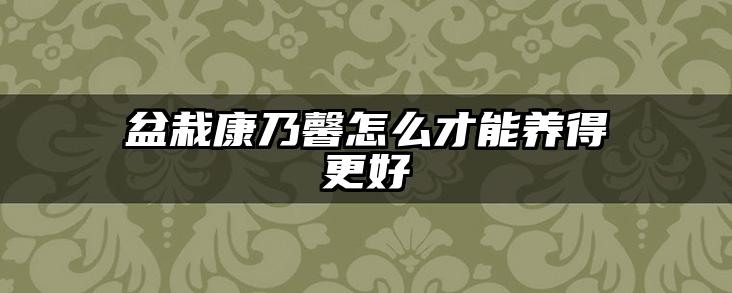 盆栽康乃馨怎么才能养得更好