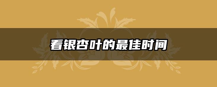 看银杏叶的最佳时间