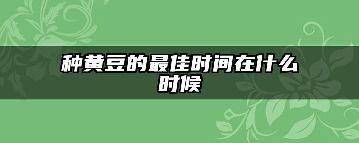 种黄豆的最佳时间在什么时候