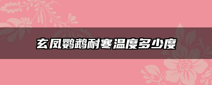 玄凤鹦鹉耐寒温度多少度