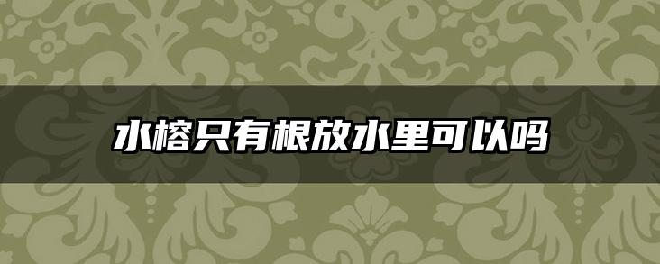 水榕只有根放水里可以吗