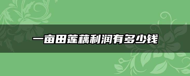 一亩田莲藕利润有多少钱